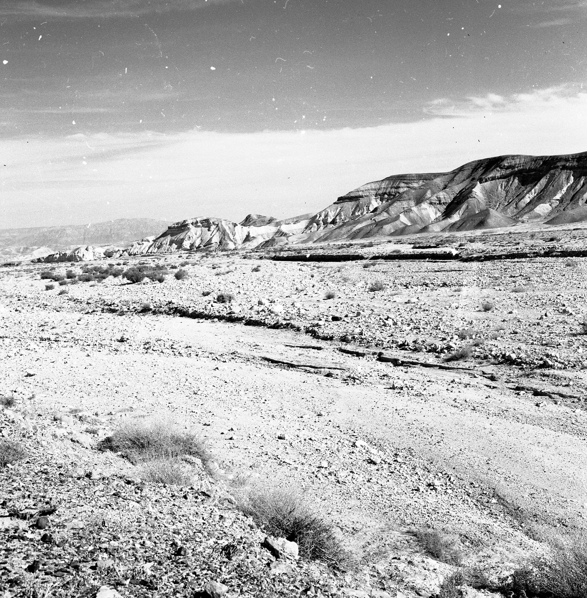 Tōldōs and Stew worth forsaking your birthright / תּולדת