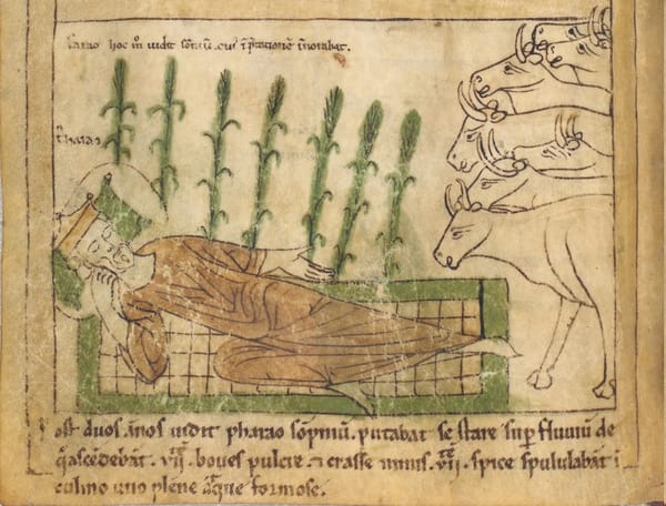 Mikets and Hunger disease / מקץ